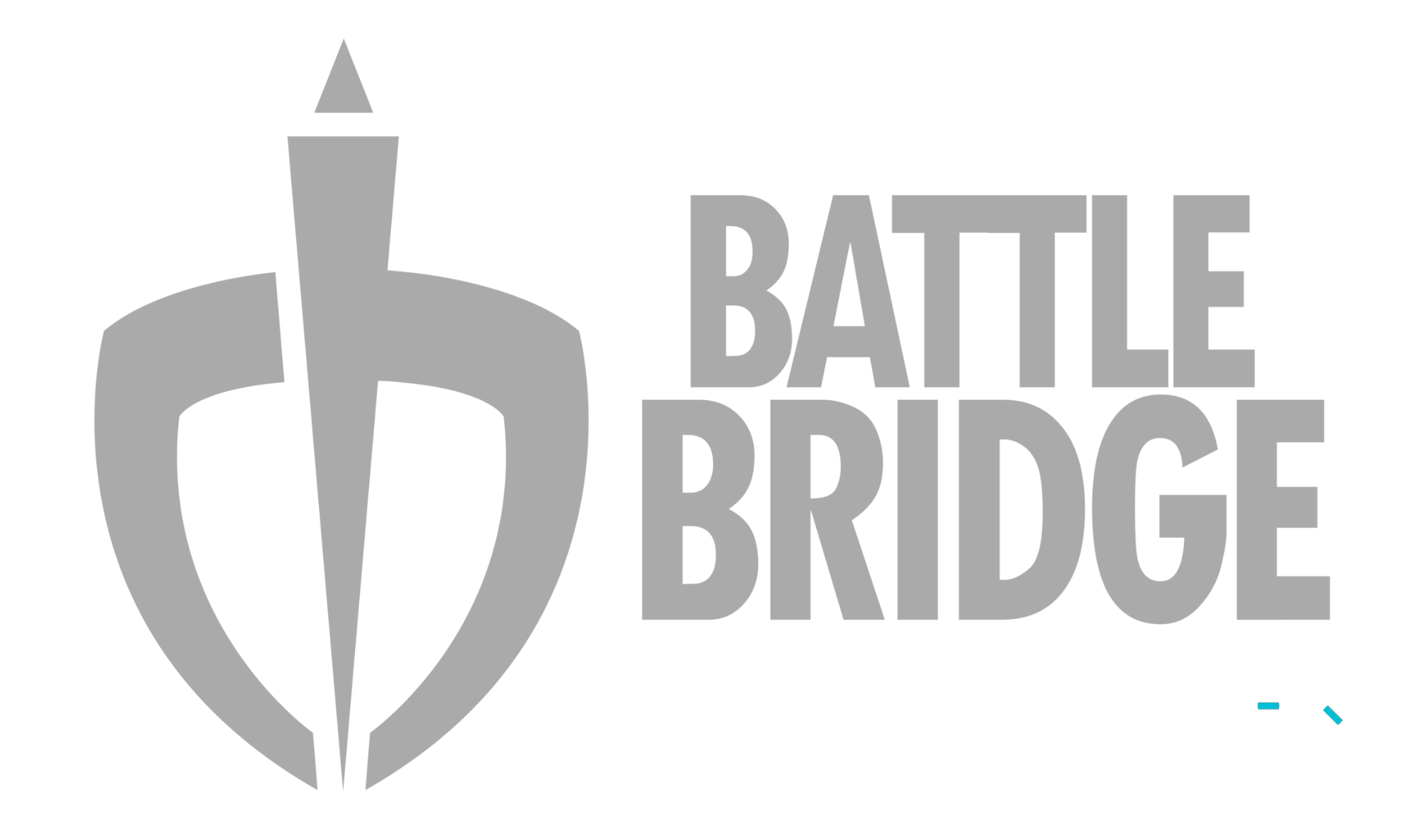 Battle Bridge a division of Logiq